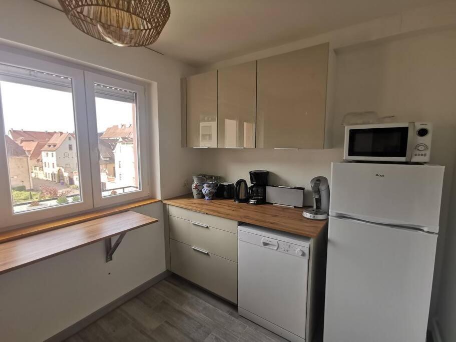 Logement Colmar Centre Avec Parking Exterior photo